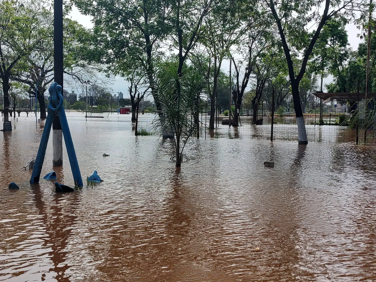 Desde Salto Grande anunciaron que el río podría superar los 13 metros