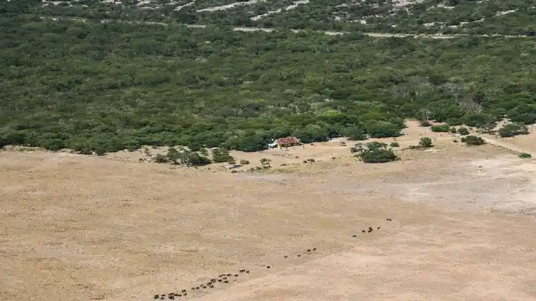 Santa Fe prorrogó la emergencia agropecuaria por la sequía al norte de la provincia