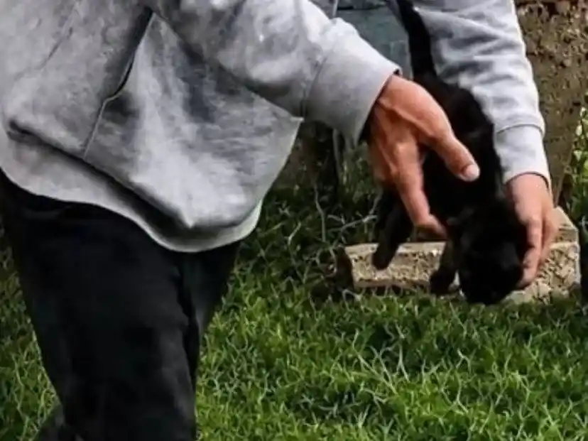 Un episodio ocurrido en Villa Gesell generó fuerte repercusión.
