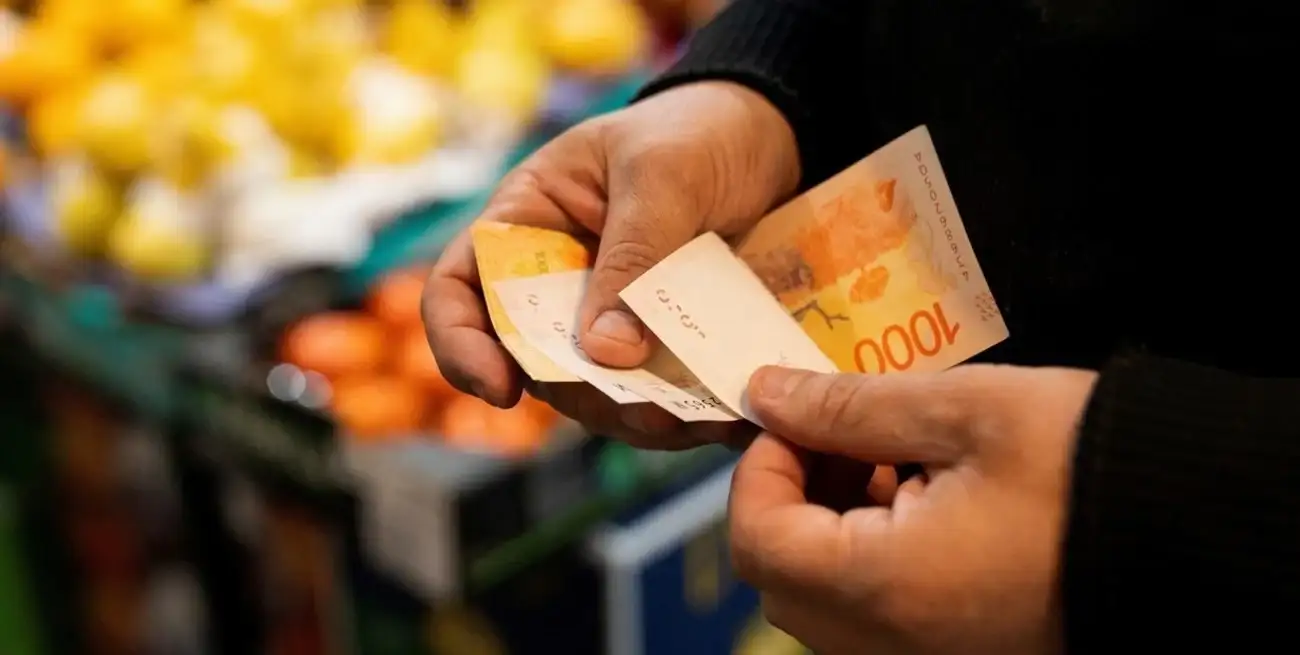 dinero anses