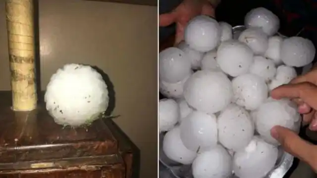 Granizo arrasó con campos de maíz y girasol: Evalúan las pérdidas