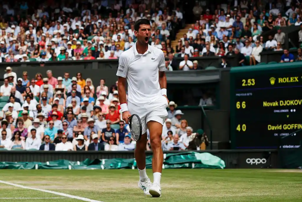 Djokovic, el favorito para consagrarse en Australia