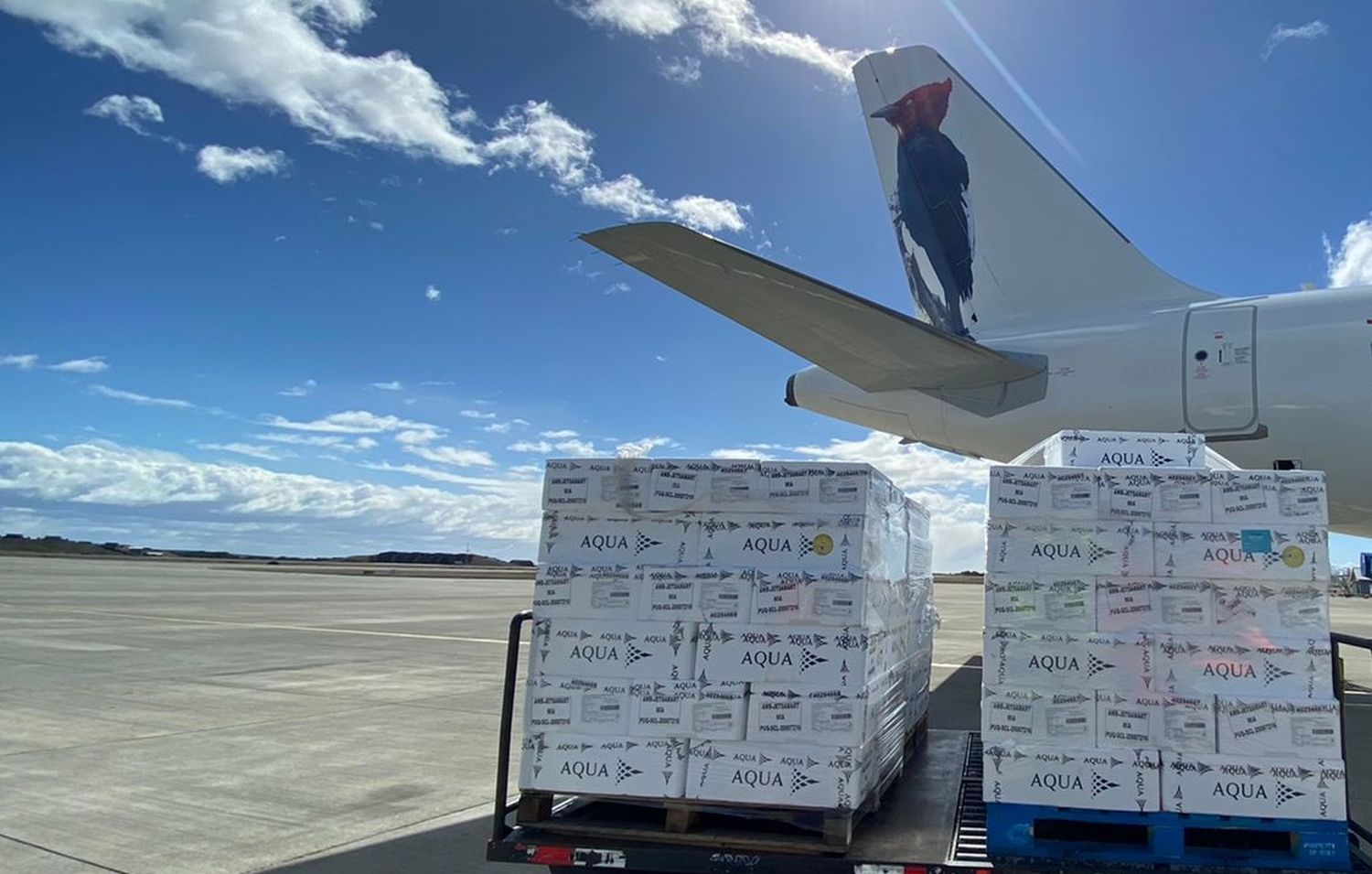 JetSMART Cargo debutó con un envío de salmones a Estados Unidos