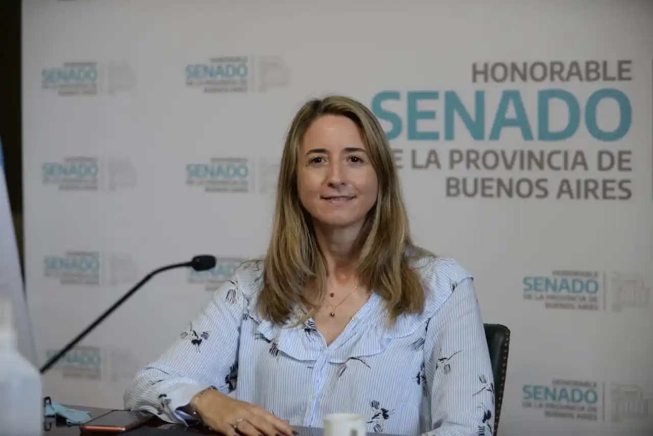 La Justicia pidió el desafuero de una senadora radical investigada por supuestos “retornos”