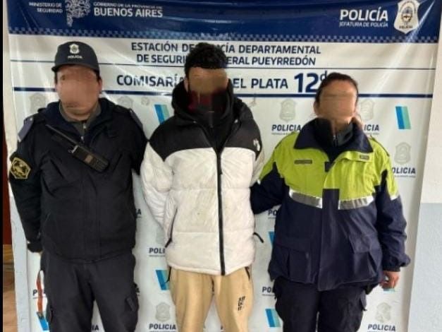 El malviviente consiguió abrir el vehículo y en ese instante quiso darse a la fuga por la presencia de la dueña, de 61 años.