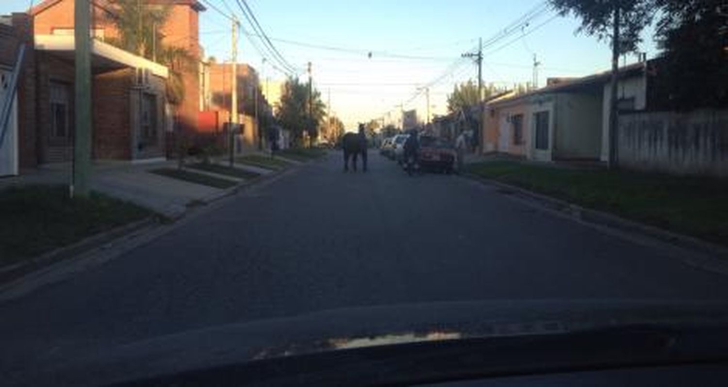 PELIGRO