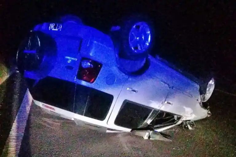 Se le cruzó un carpincho en la Autovía y terminó volcando su vehículo