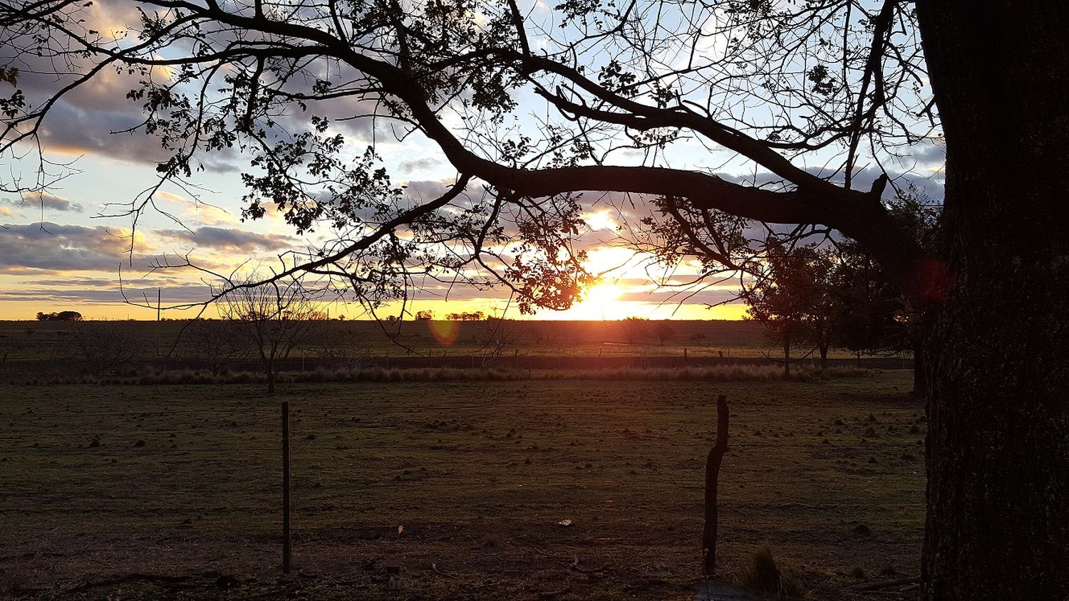 El gobierno fijó los nuevos valores del Impuesto Inmobiliario Rural con un aumento del orden del 45%