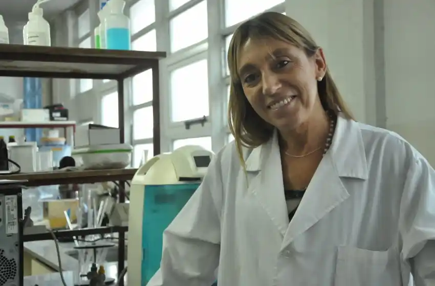 Investigadores marplatenses trabajan en prótesis óseas permanentes