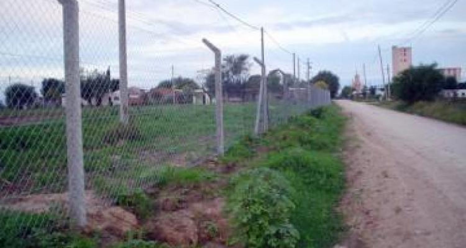 Alambrando barrancas