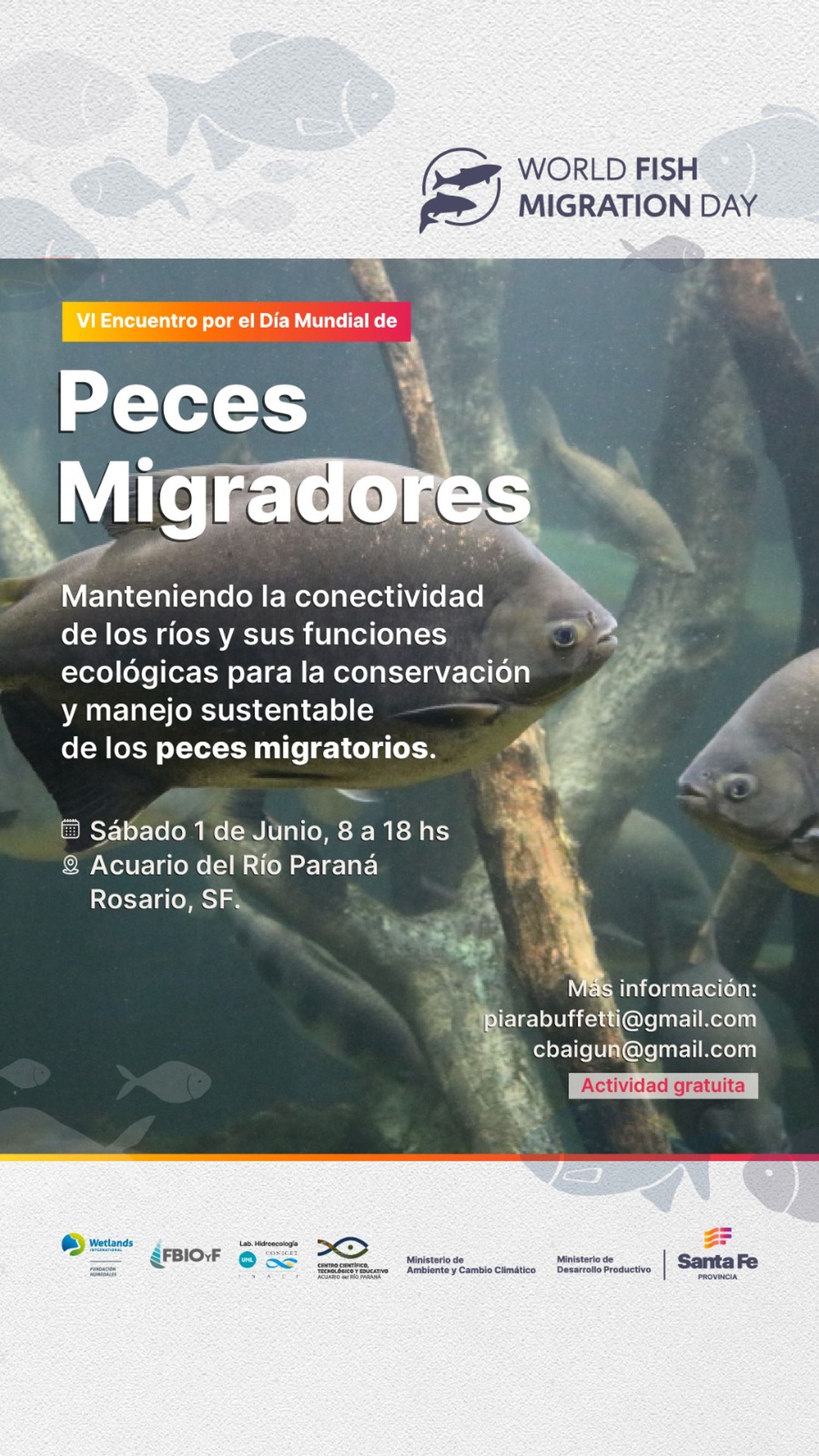 Convocan a celebrar el Día Mundial de los Peces Migradores
