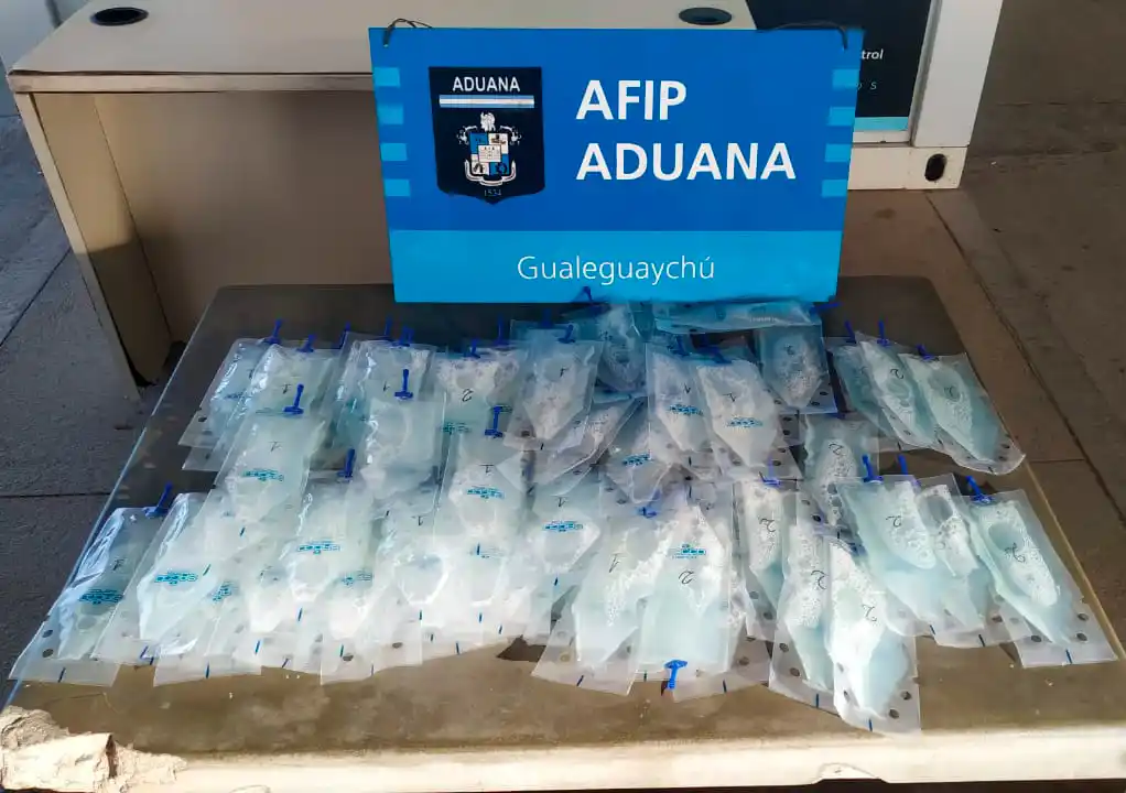 Aduana incautó 6 litros de semen porcino que pretendía ser ingresado de forma ilegal al país