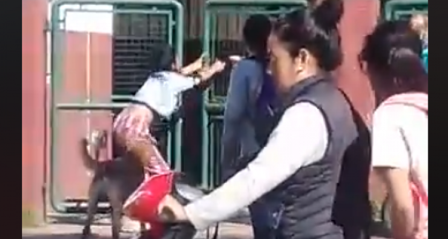 Apareció el video que muestra la agresión a una alumna en la escuela