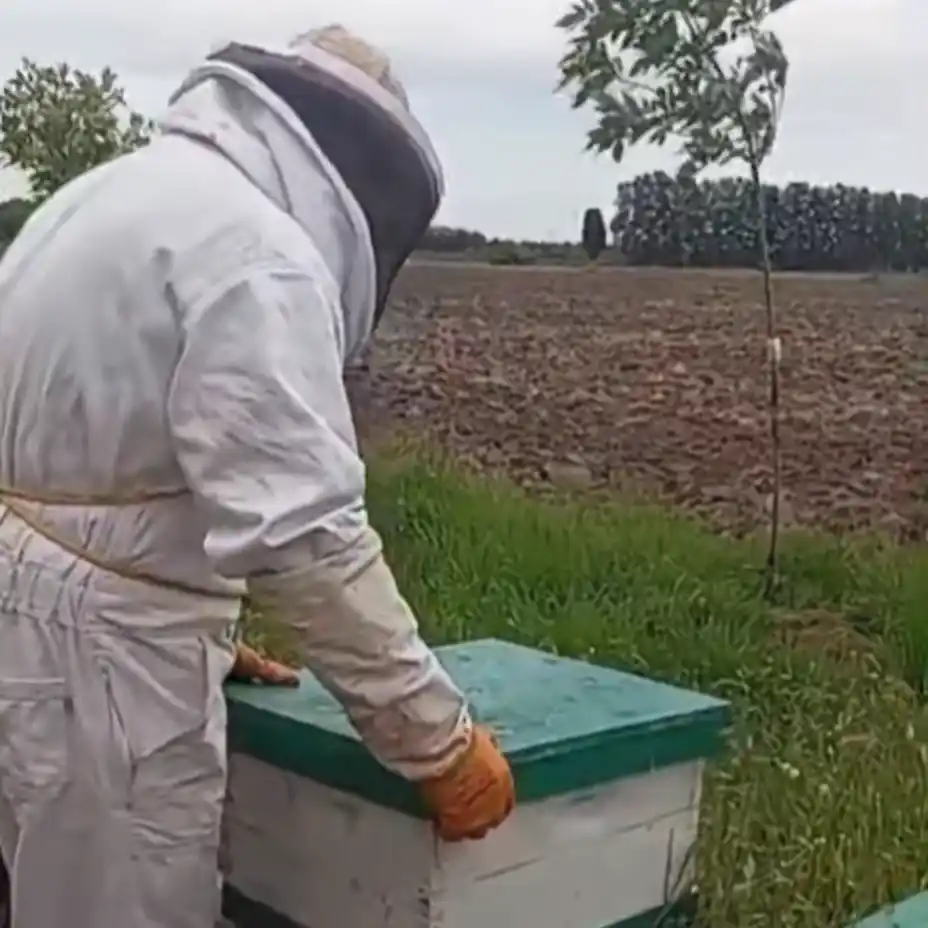 Los chicos mostraron un día en su rutina en el sector de apicultura.