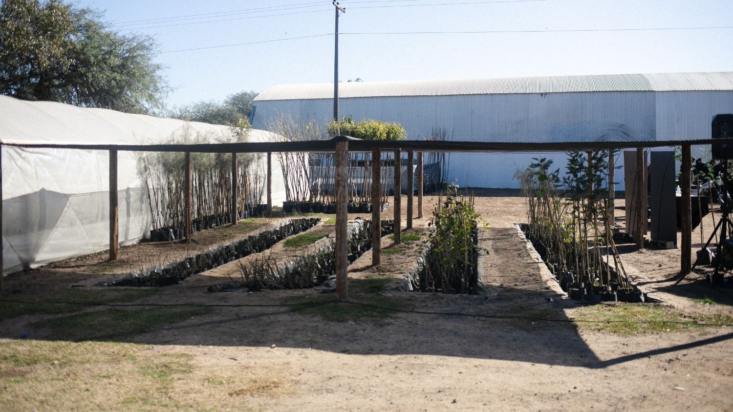 VIVERO LA FRANCIA