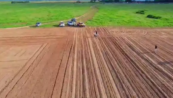 Anuncian exoneración de impuestos a productores de maní en El Tigre