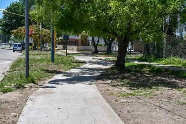 Continúan los trabajos en la bicisenda de avenida Alfonsin