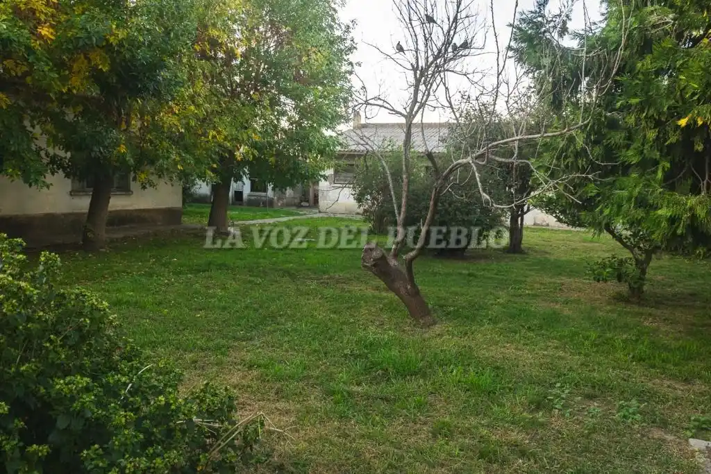 Hogar - 15
