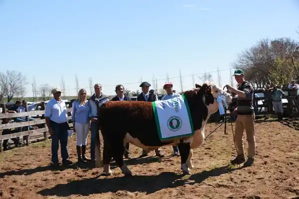 Comienza la cuenta regresiva para la Exposición Rural 