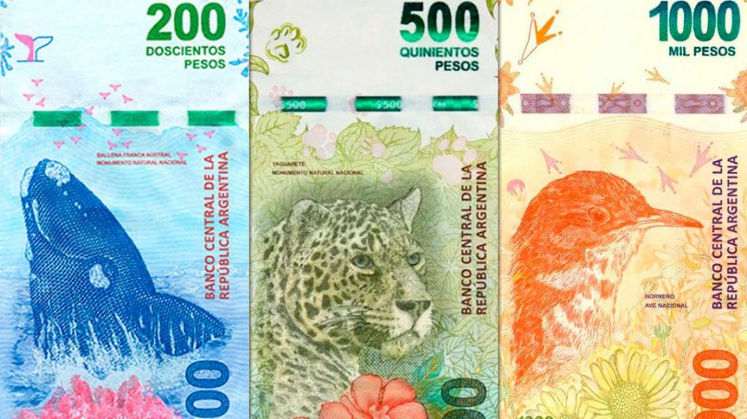 Favaloro y Arzuduy, los nombres que suenan para reemplazar a los animales en los billetes