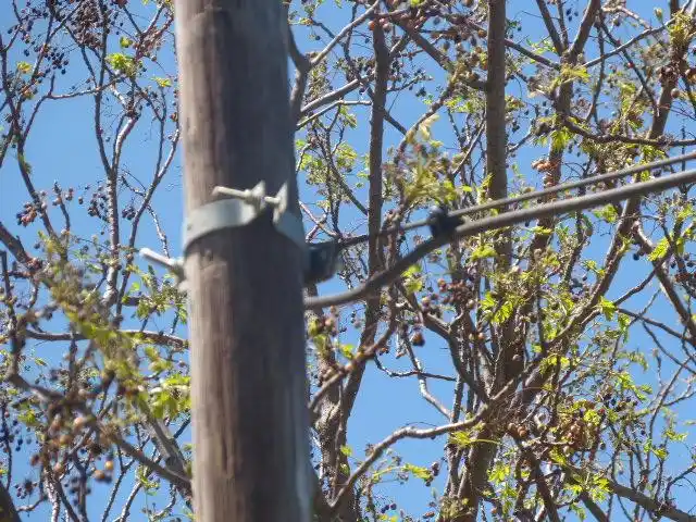 RV: ¿A quién pertenece, el poste que sostiene cables?