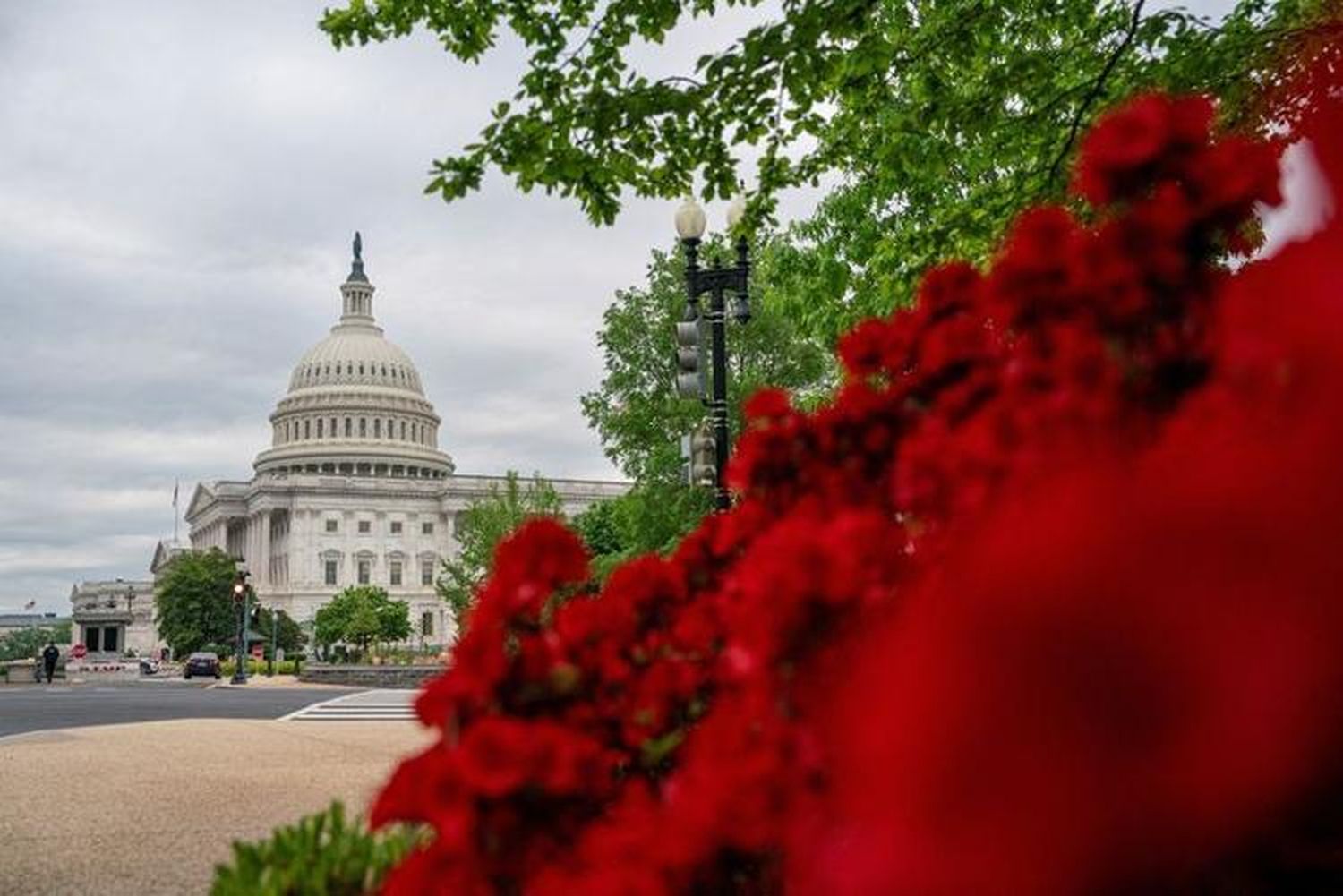 Flags flutter as pro-Ukrainian supporters demonstrate outside the U.S. Capitol