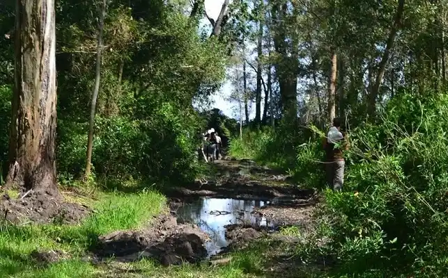 La naturaleza de Gualeguaychú fue destacada por Vida Silvestre Argentina