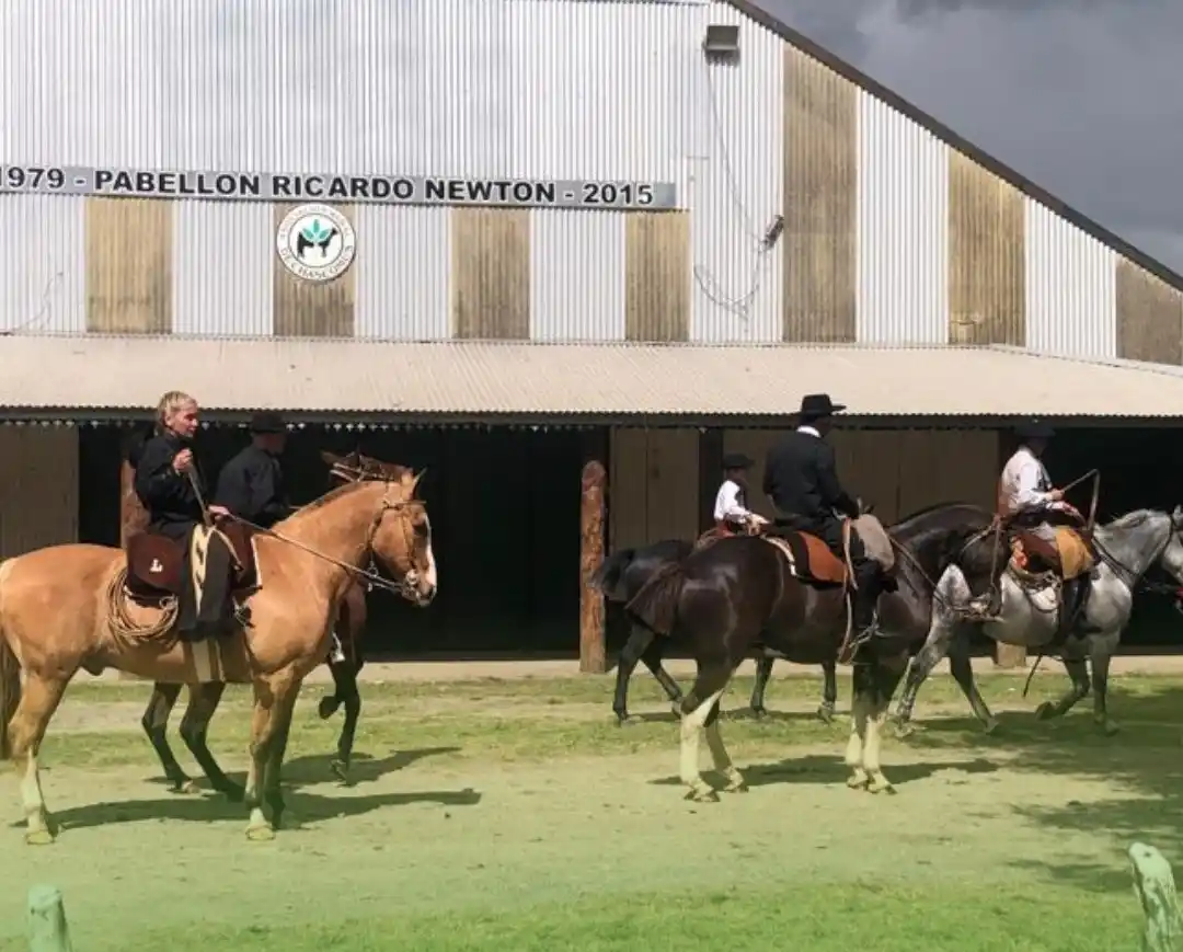 La Expo Caballos Chascomús 2026 será, este fin de semana largo, una cita imperdible para quienes aman la vida rural, el caballo criollo y las tradiciones argentinas.