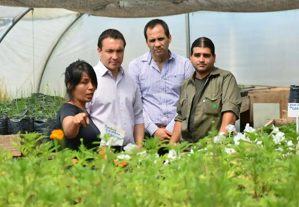 Florencio Varela planea llevar su producción de más de 7 mil árboles a 10 mil por año