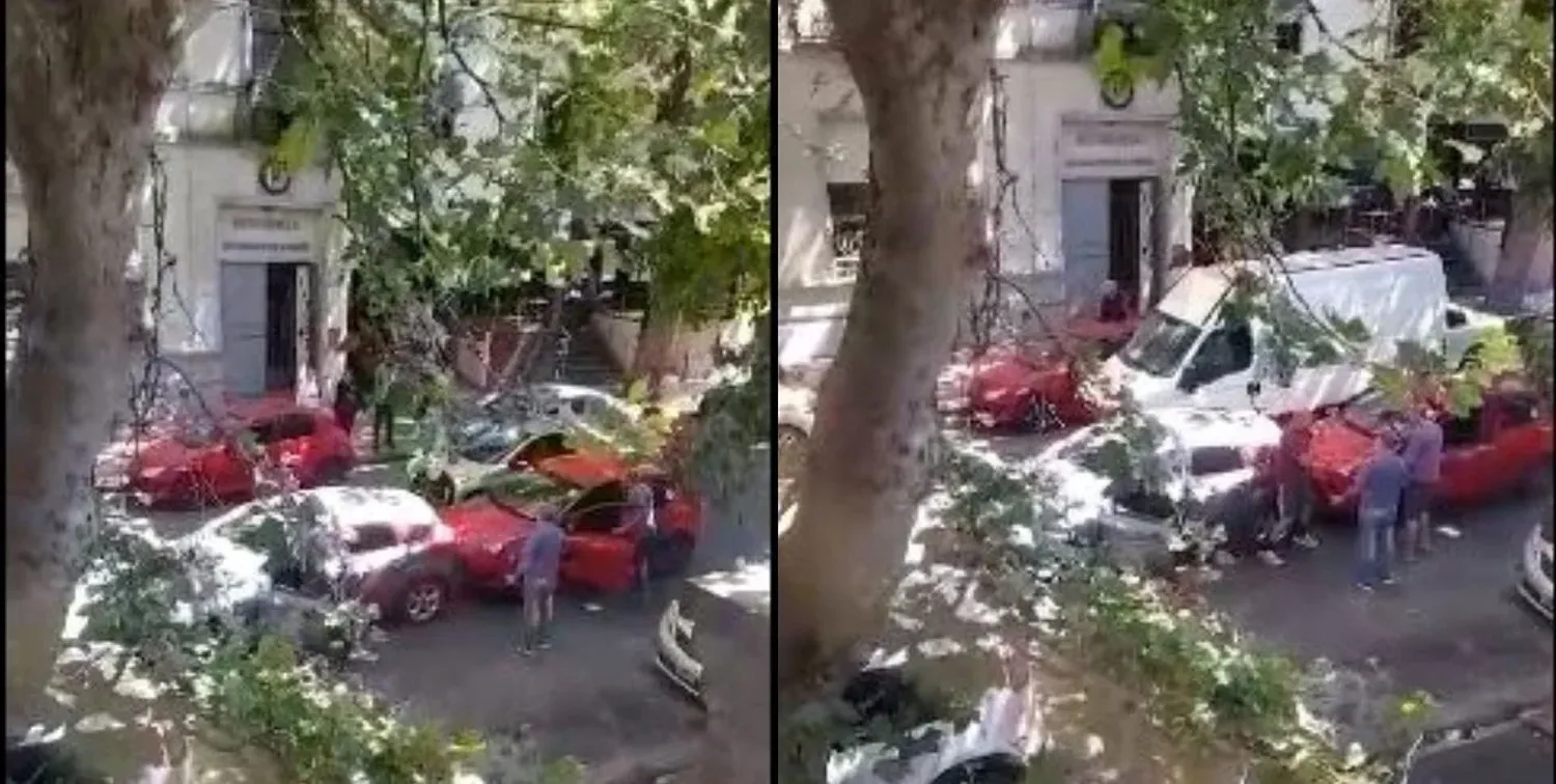 El episodio quedó registrado en un video que grabó un vecino de la zona.