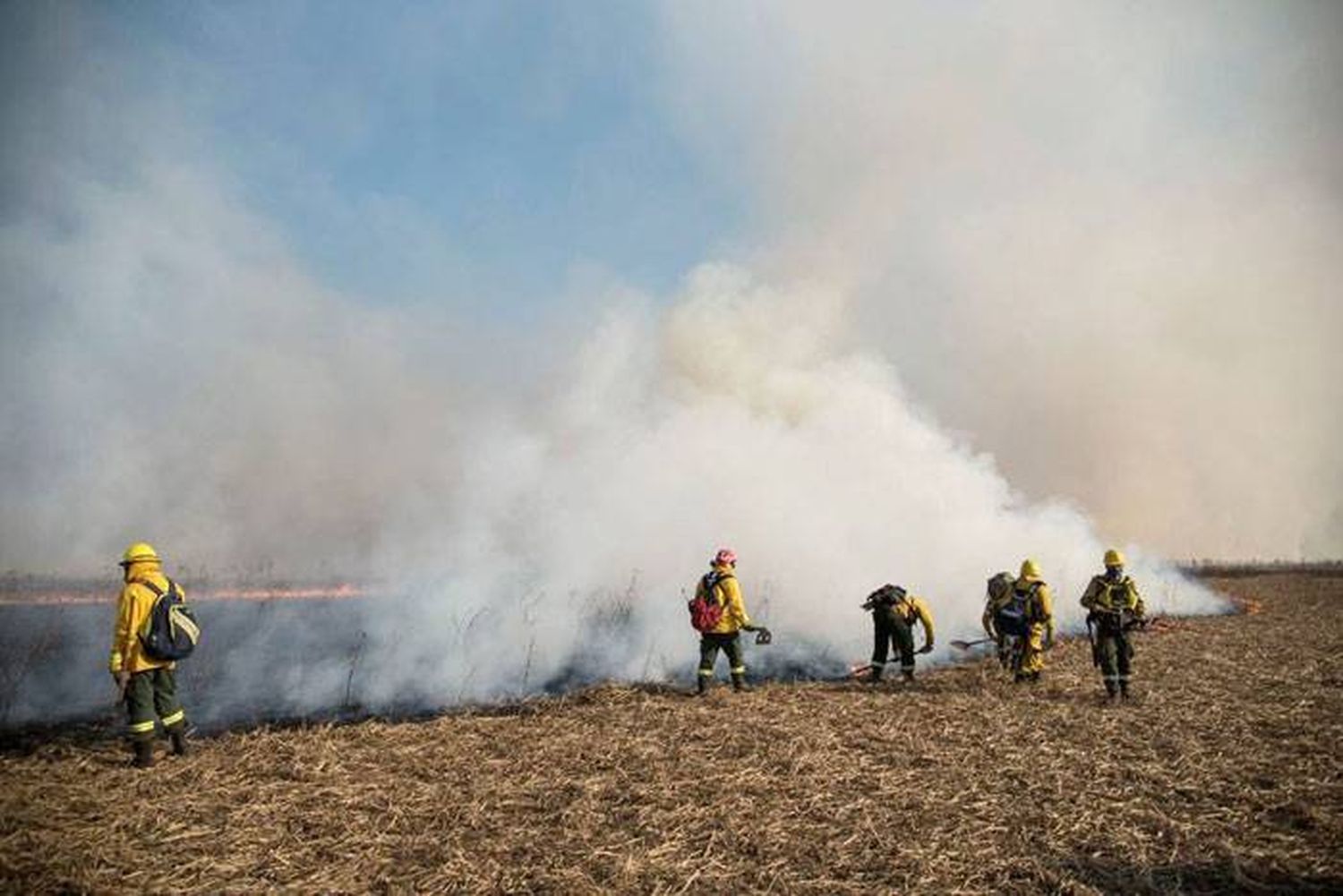 La provincia trabaja en la  recuperación de los ecosistemas perjudicados por los incendios