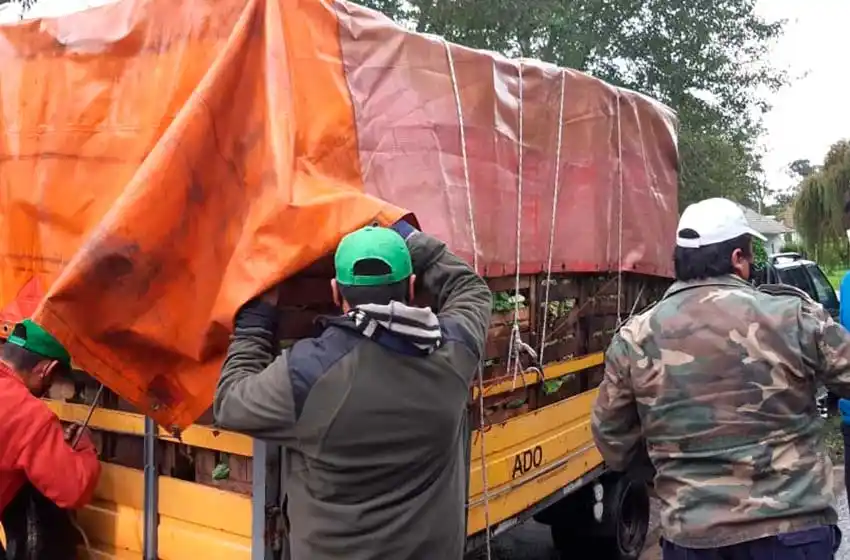 Solidaridad: Donan 10 mil kilos de verduras a comedores barriales