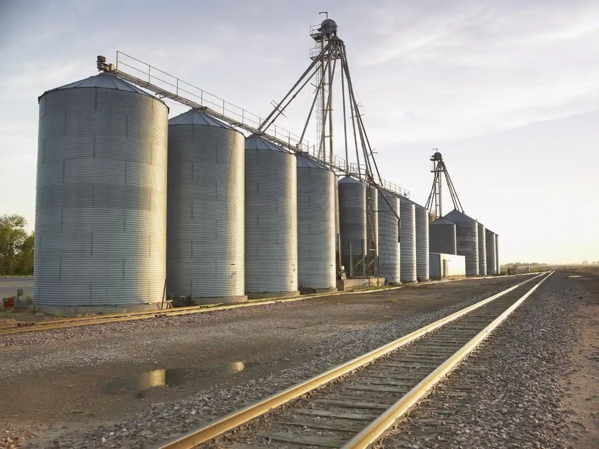Con la soja a u$s 250, los productores vendieron 49% más en una semana