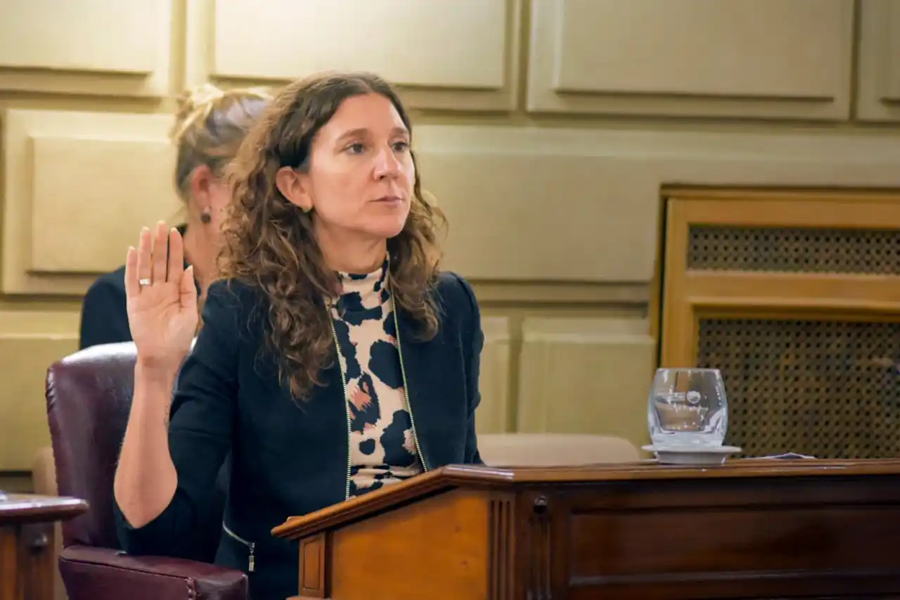 Leticia Di Gregorio, Camara de Senadores de Santa Fe - 1
