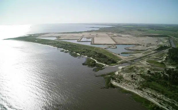 Obreros ocupan la papelera Montes del Plata, en Uruguay