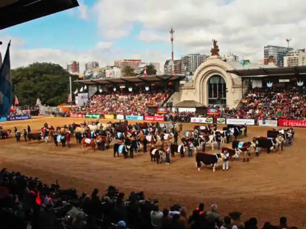 Por la causa de la Rural, el Gobierno recusó a la Cámara Civil y Comercial