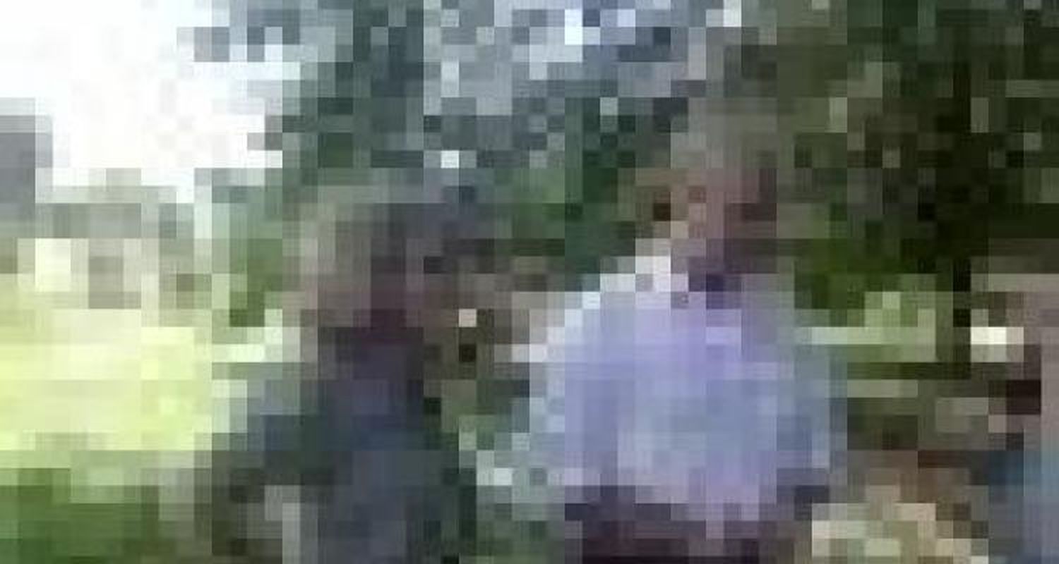 3000 personas visitan La Campiña por fin de semana