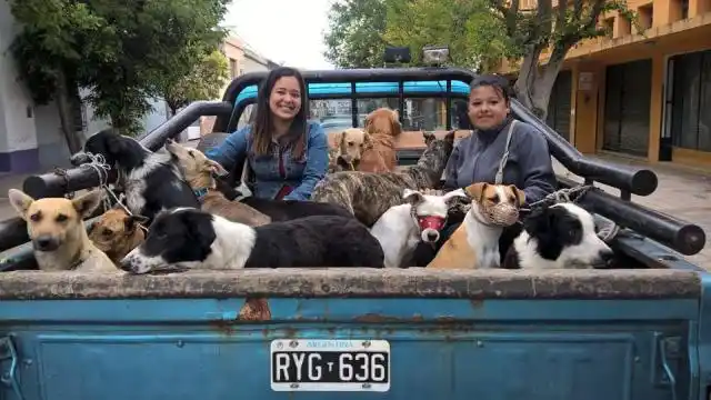 Castraciones Gualeguay, un emprendimiento de dos jóvenes de nuestra ciudad