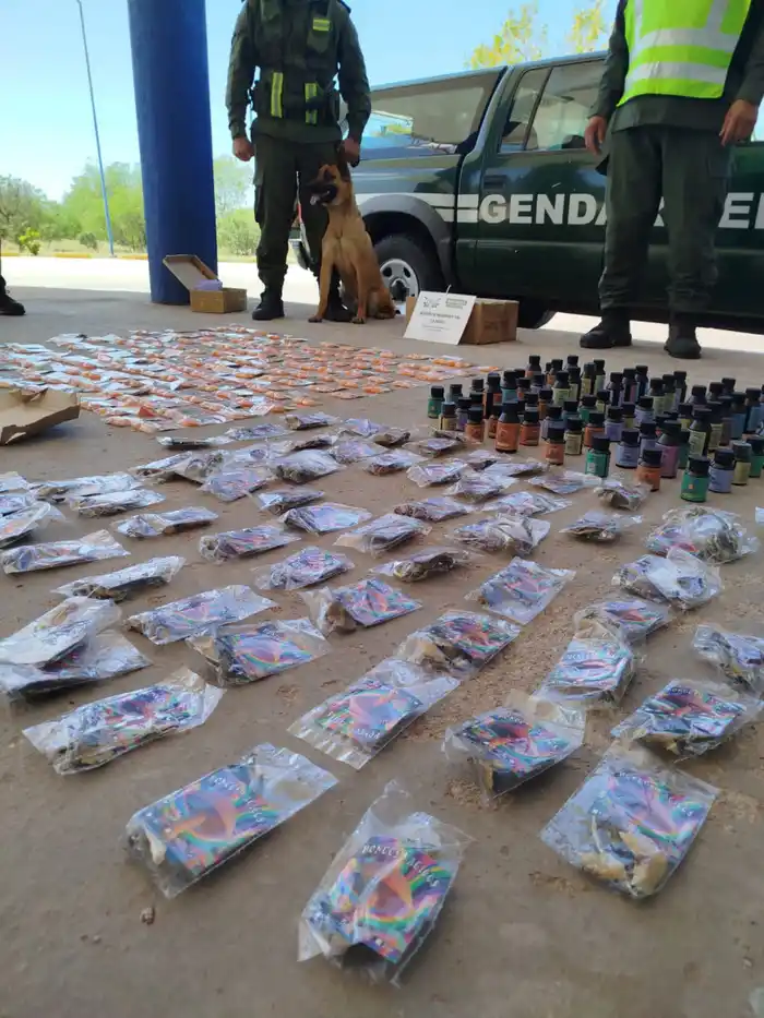 san luis hongos drogas - 3