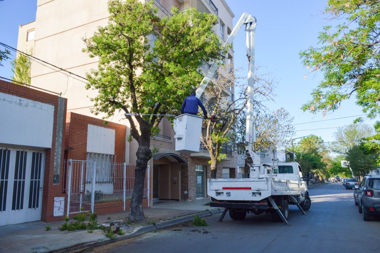 Trabajos de cuadrillas municipales en espacios públicos