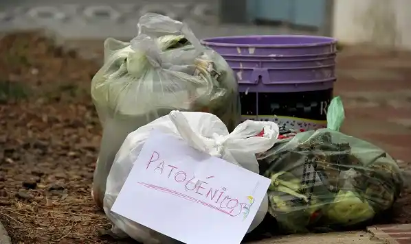 Por el Día del Municipal, el viernes no habrá recolección de residuos