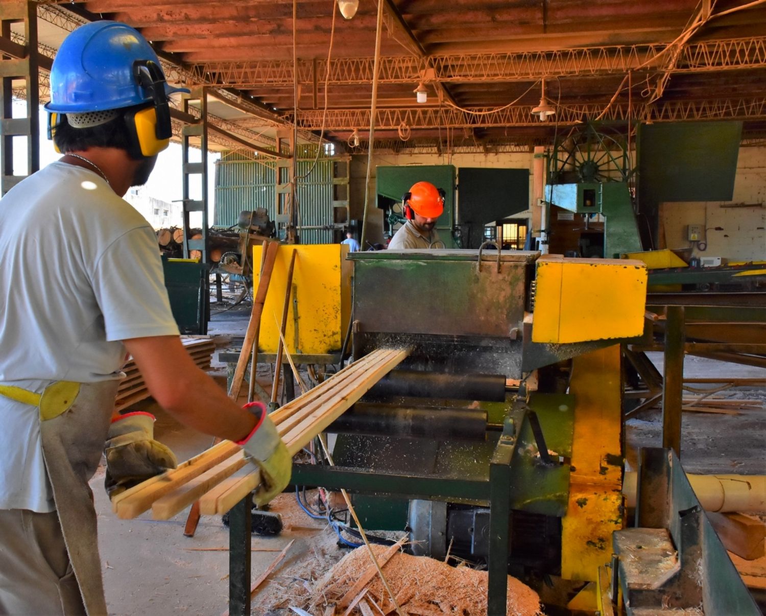 En julio Concordia será sede de la Expo Vivienda y Foresto Industria 2023