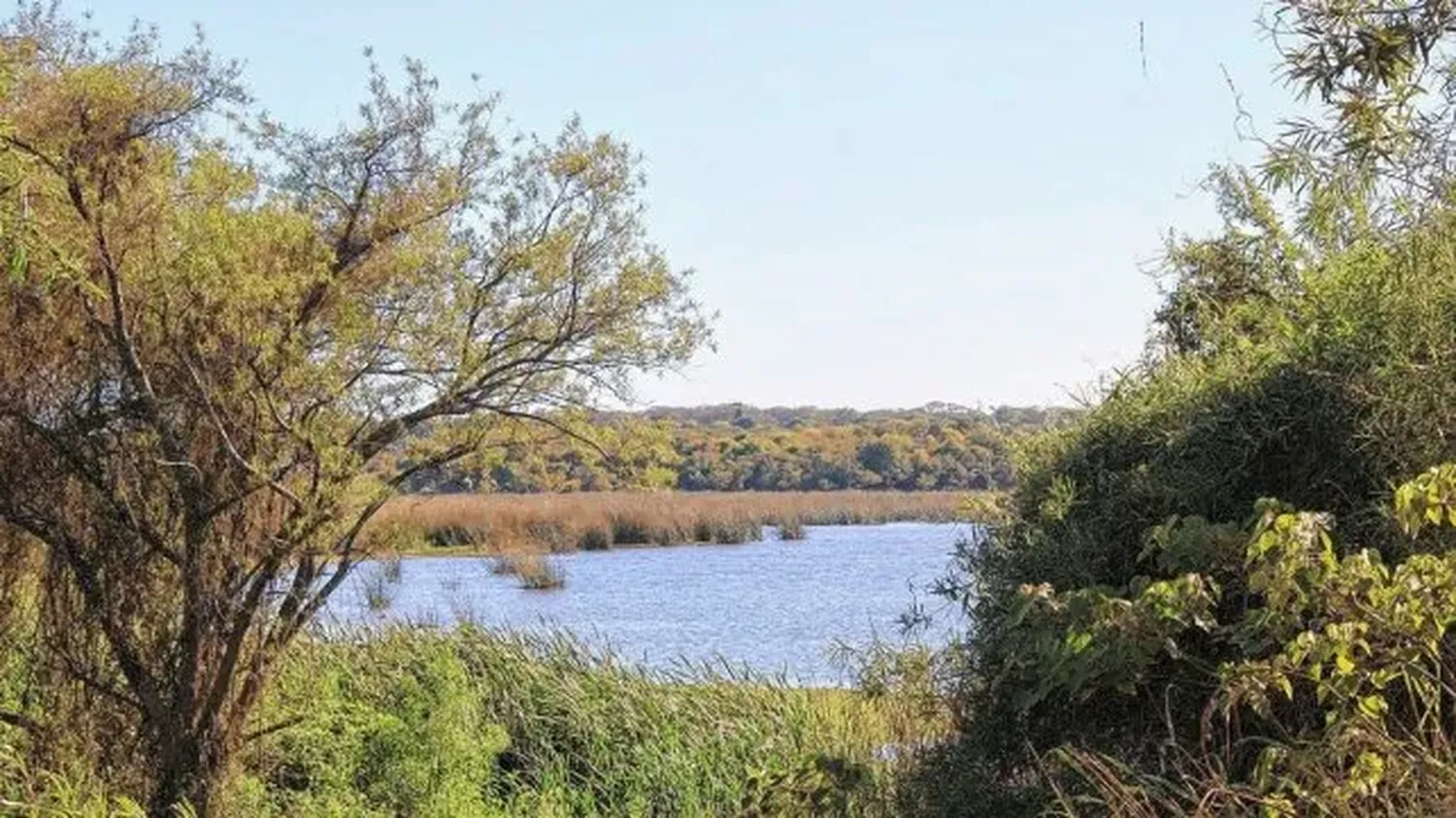 Gualeguay por los Humedales