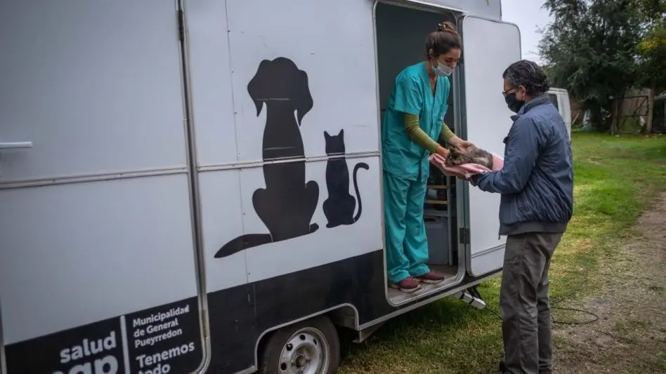 Cronograma para el quirófano móvil para animales