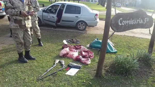 Secuestraron armas y carne de jabalí a cazadores furtivos