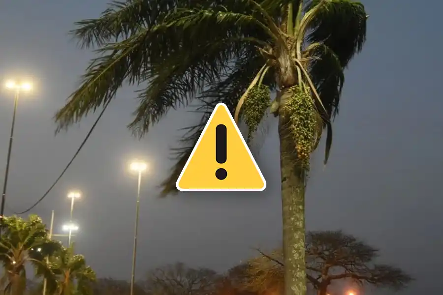 Clima: preocupación por alerta amarilla pronosticada para el fin de semana en la región