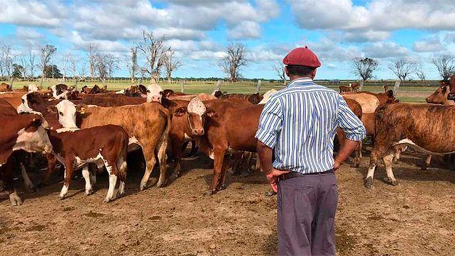 Tras suba del 12%, en cuánto quedó el salario del peón de campo