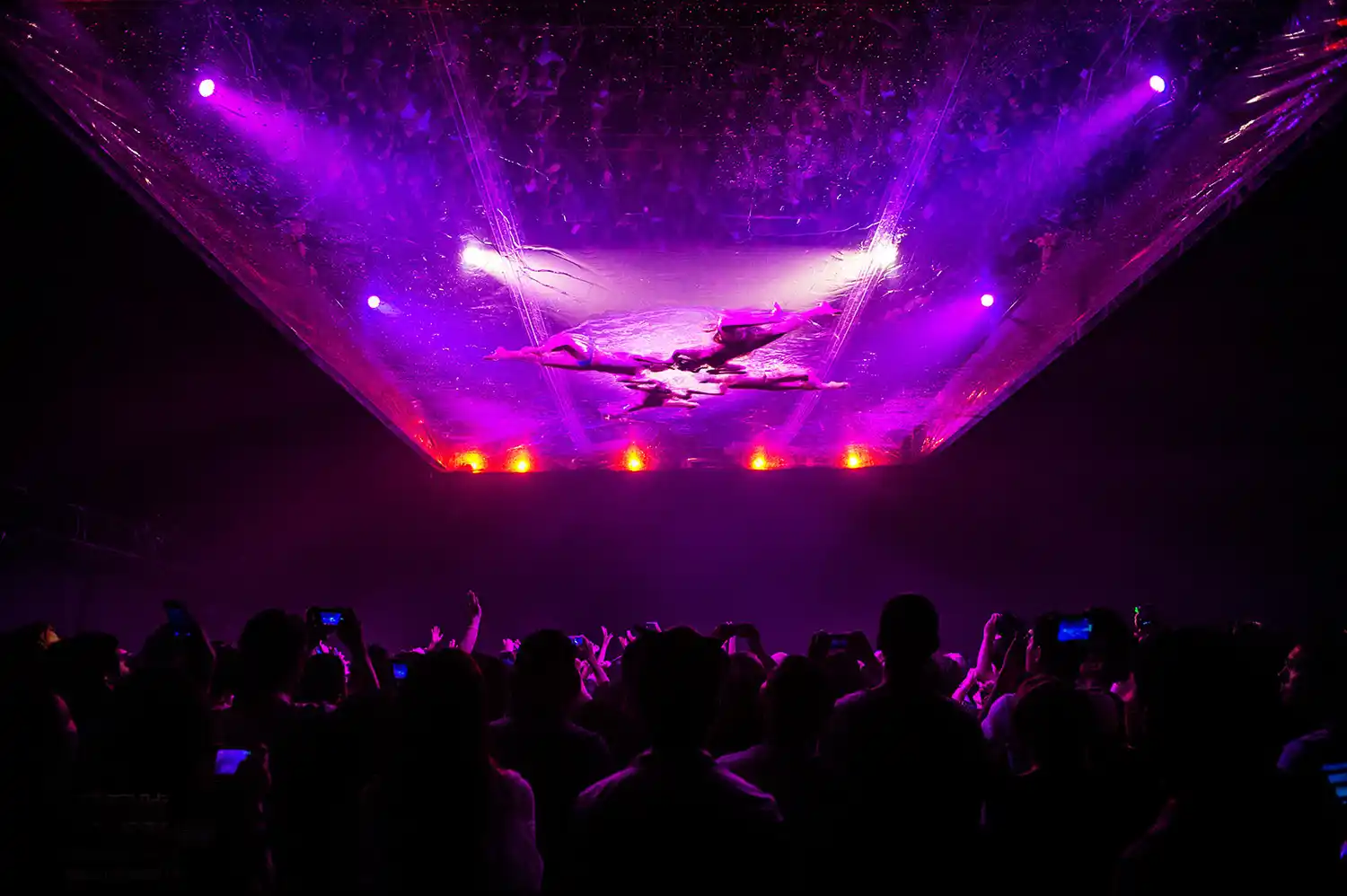 Fuerza Bruta vuelve a Mar del Plata