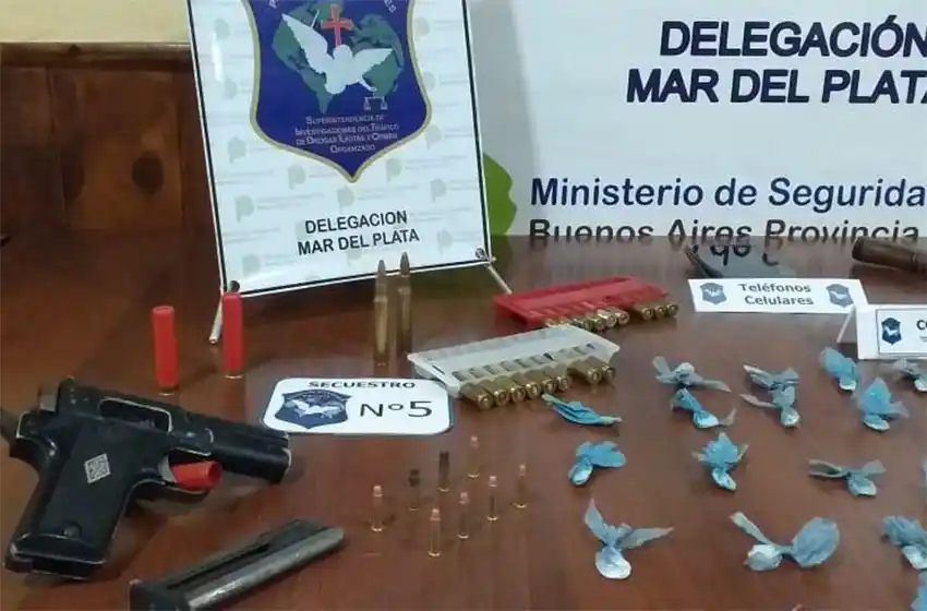 Video: les allanaron la casa e intentaron tirar la droga por el inodoro