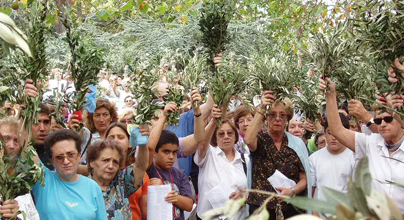Domingo de Ramos